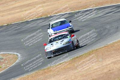 media/May-06-2023-Lucky Dog Racing (Sat) [[8f2256f436]]/Turn 2 10a/